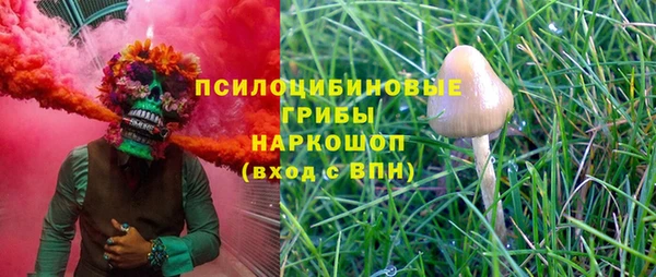 ПСИЛОЦИБИНОВЫЕ ГРИБЫ Алексеевка