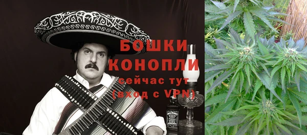 ПСИЛОЦИБИНОВЫЕ ГРИБЫ Алексеевка