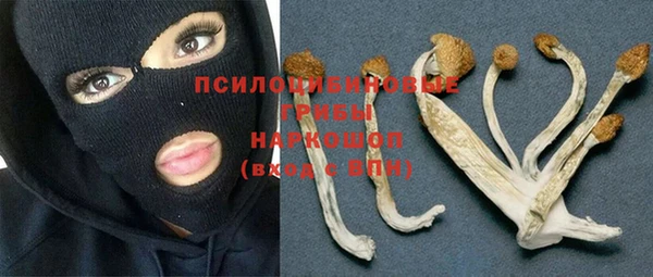 ПСИЛОЦИБИНОВЫЕ ГРИБЫ Алексеевка