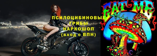 ПСИЛОЦИБИНОВЫЕ ГРИБЫ Алексеевка