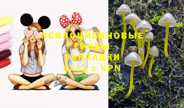 ПСИЛОЦИБИНОВЫЕ ГРИБЫ Алексеевка