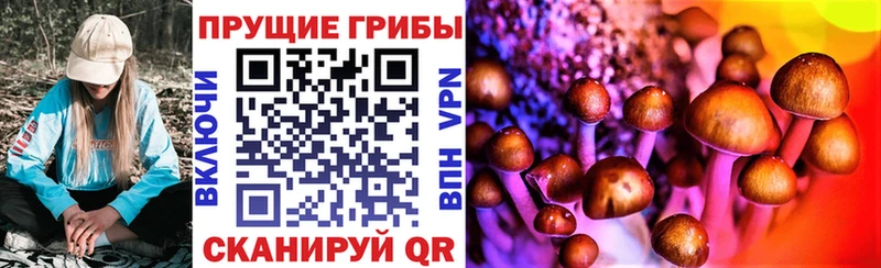 Псилоцибиновые грибы мухоморы наркошоп Мышкин
